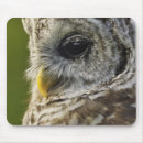 Recherche de adam jones tapis souris Michigan