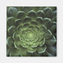 Suche nach kaktus magnete Blätter