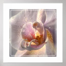 Recherche de orchidée tropicale posters Nature