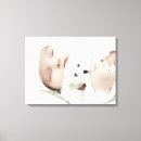 Recherche de jeune animal posters Famille