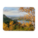 Recherche de bouleau magnets Automne