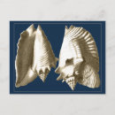 Suche nach ocean life poster Seashell