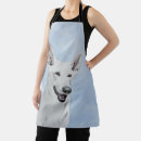 Recherche de berger tabliers Chiot