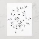 Recherche de fourmi noire cartes postales Travail