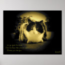 Suche nach lustige maus poster Katzen