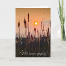 Recherche de cailloux vœux cartes Nature