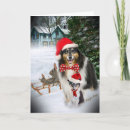 Suche nach sheltie karten Schäferhunde