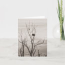 Suche nach der adler karten Wolken