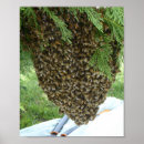 Suche nach bienen liebe poster Honigbienen