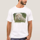 Recherche de panthera tshirts Seul
