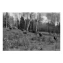 Recherche de course de chevaux posters Ranch