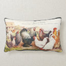 Recherche de poulet coq coussins Poules