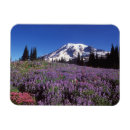 Recherche de fleurs de montagne magnets Prairie