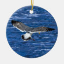 Suche nach möve ornamente Vogel