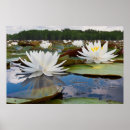Suche nach caddo poster Landschaft