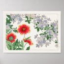 Suche nach plumbago poster Pflanze