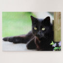 Suche nach kitty cat puzzle Niedlich