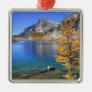 Suche nach alpine ornamente Im freien