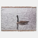 Suche nach gans decken Vogel