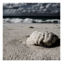 Suche nach schwarz weiße poster Naturfotografie