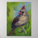 Suche nach cardinal poster Kardinal