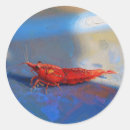 Recherche de de crevette autocollants Crevettes