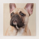 Recherche de portrait de chien Dogs