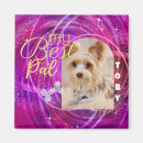 Suche nach pets magnete Dogs