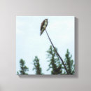 Suche nach weiße feder leinwandbilder Braun