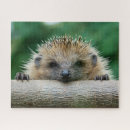 Recherche de hedgehog puzzles Animal