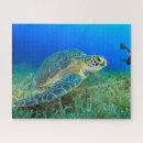 Recherche de tortue de mer puzzles Bleu