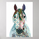 Suche nach pferdegesicht poster Pferdeportrait