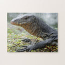 Recherche de lézard photographie Sauvage