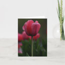Recherche de sein d vœux cartes Printemps