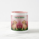 Recherche de chiot café tasses Mère