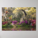 Suche nach charleston poster Süden