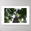 Suche nach australien poster Sommer