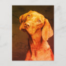 Recherche de magyar cartes postales Vizsla