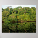Recherche de amazonien posters Sud