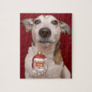 Suche nach jack russell terrier puzzle Tiere