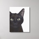 Suche nach schwarze katze leinwandbilder Tierliebhaber