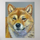 Recherche de shiba inu posters Dessin