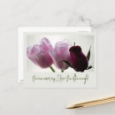 Suche nach rote tulpen postkarten Fotografie