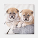 Suche nach badewanne magnete Hund