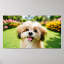 Recherche de grands yeux posters Chiot