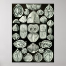 Recherche de illustrations scientifiques posters Nature