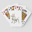 Suche nach bullterrier Weiß