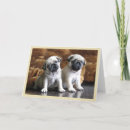 Suche nach pugs stuff karten Tier