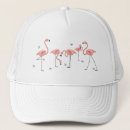 Recherche de flamants casquettes Oiseaux