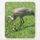 Suche nach kran mousepads Kräne